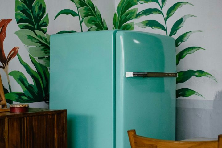 The Refrigerator Door Seal: A Small Repair That Saves a Big Bill